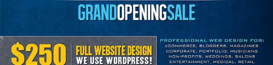 $250WebDesign
